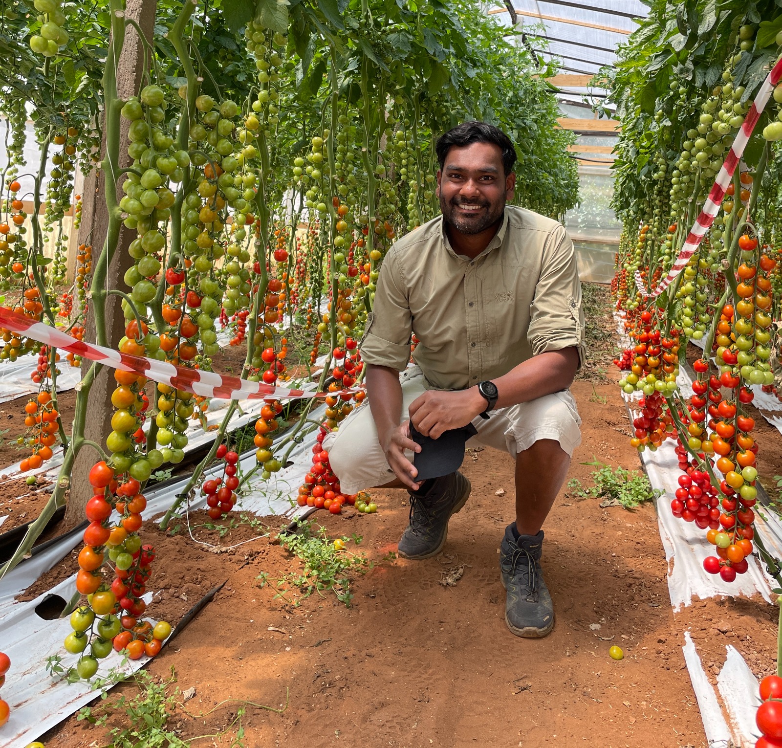 Shivan Bhoelai in a tomato greenhouse